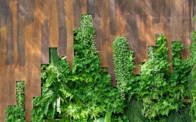 Materiali sostenibili e innovativi: il futuro delle ristrutturazioni green